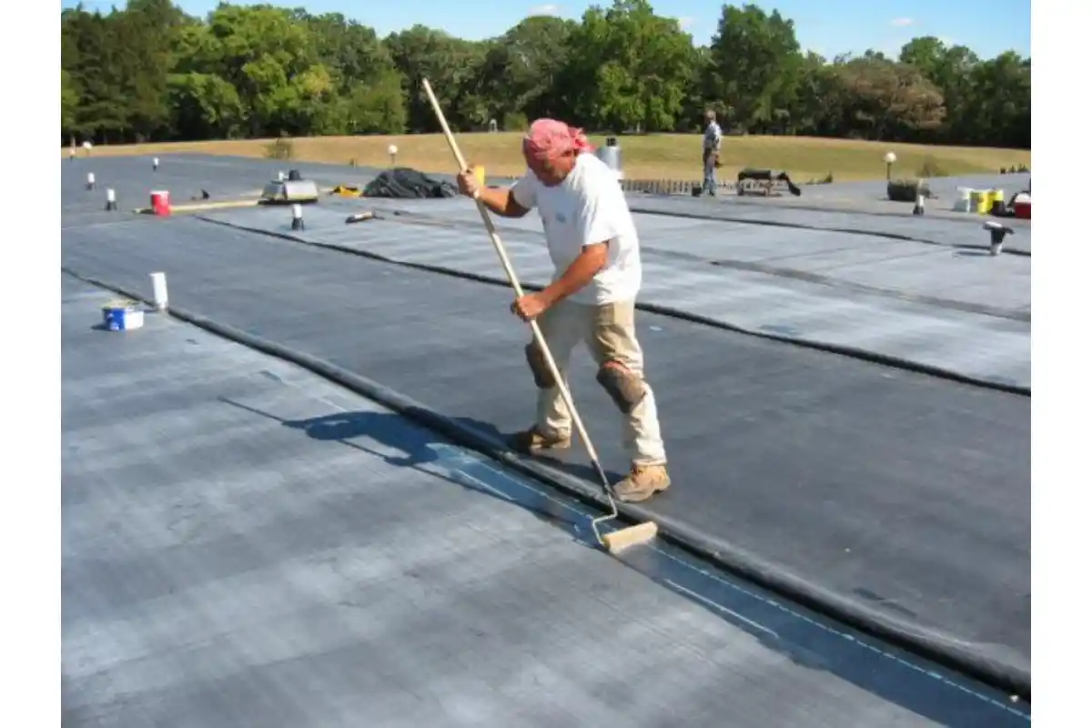 Home 1000034746.webp