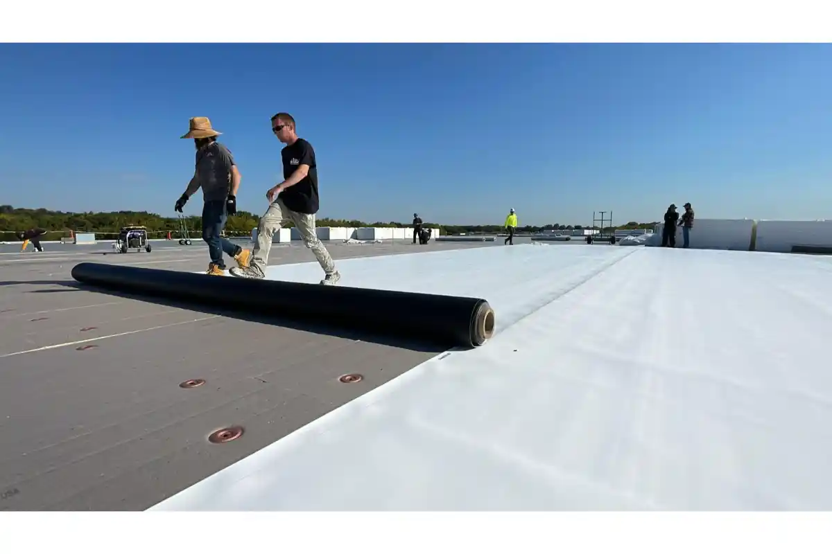 Projects 1000034840.webp