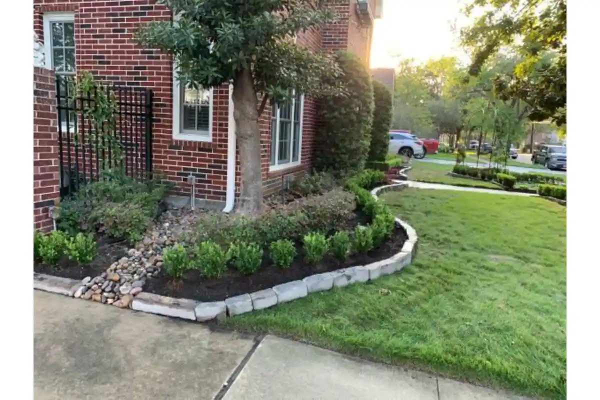 Home 1000034849.webp